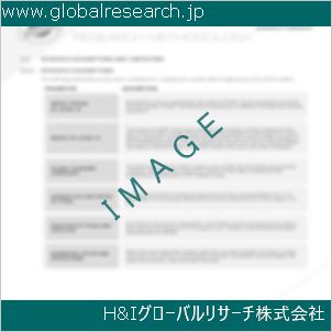 グローバルリサーチ調査資料のイメージ